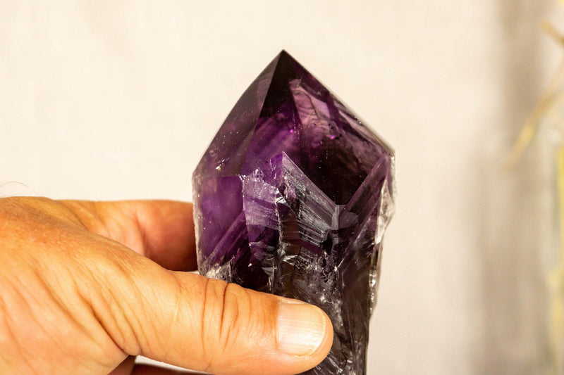 X-Large Bahia Amethyst Scepter with Phantoms on Display, Dragon Tooth Amethyst i_did