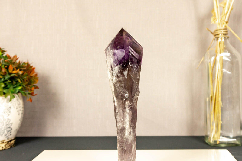 X-Large Bahia Amethyst Scepter with Phantoms on Display, Dragon Tooth Amethyst i_did