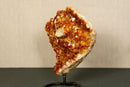Deep Orange Citrine Cluster with X Large Citrine Points, Aaa Grade collective