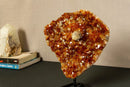 Deep Orange Citrine Cluster with X Large Citrine Points, Aaa Grade collective