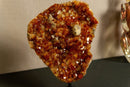 Deep Orange Citrine Cluster with X Large Citrine Points, Aaa Grade collective