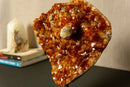 Deep Orange Citrine Cluster with X Large Citrine Points, Aaa Grade collective