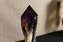 X-Large Bahia Amethyst Scepter with Phantoms on Display, Dragon Tooth Amethyst i_did