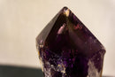 X-Large Bahia Amethyst Scepter with Phantoms on Display, Dragon Tooth Amethyst i_did