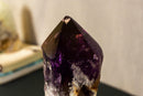 X-Large Bahia Amethyst Scepter with Phantoms on Display, Dragon Tooth Amethyst i_did