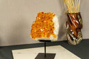 Deep Orange Citrine Cluster Crystal on Stand with Large Citrine Points collective