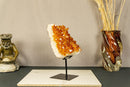 Deep Orange Citrine Cluster Crystal on Stand with Large Citrine Points collective