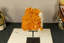 Deep Orange Citrine Cluster Crystal on Stand with Large Citrine Points collective