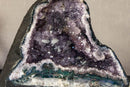Rare Amethyst Cathedral Geode with Flower Stalactites and Double Terminated Points i_did