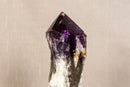 X-Large Bahia Amethyst Scepter with Phantoms on Display, Dragon Tooth Amethyst i_did