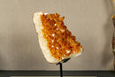Deep Orange Citrine Cluster Crystal on Stand with Large Citrine Points collective