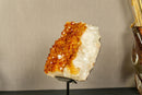 Deep Orange Citrine Cluster Crystal on Stand with Large Citrine Points collective