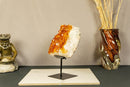 Deep Orange Citrine Cluster Crystal on Stand with Large Citrine Points collective