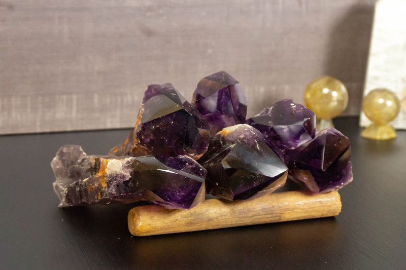 Wholesale Set of 6 Large AAA Bahia Dragon Tooth Amethyst i_did