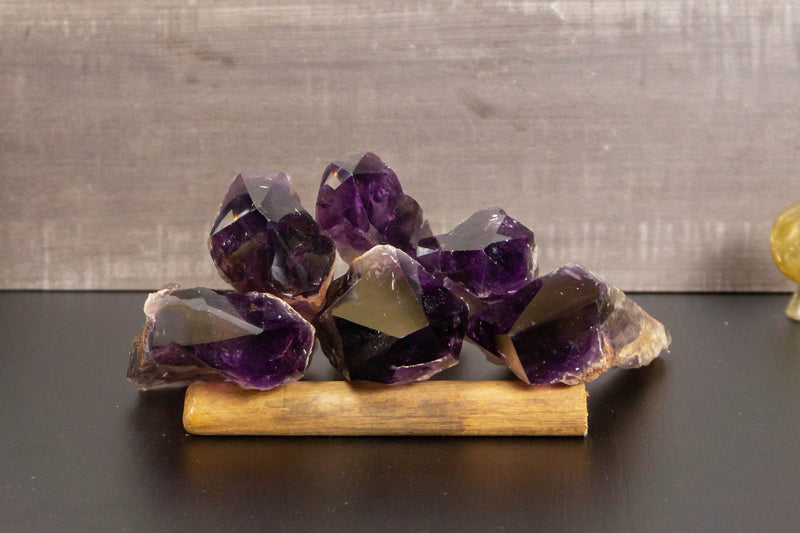 Wholesale Set of 6 Large AAA Bahia Dragon Tooth Amethyst i_did