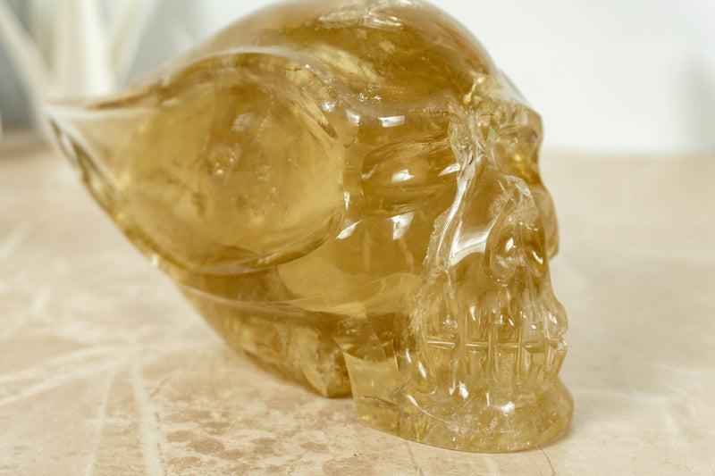 Natural and Genuine Citrine Skull, Hand Carved Golden Citrine collective