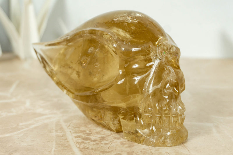 Natural and Genuine Citrine Skull, Hand Carved Golden Citrine collective