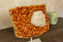 Orange Citrine Geode Cluster with Calcite collective
