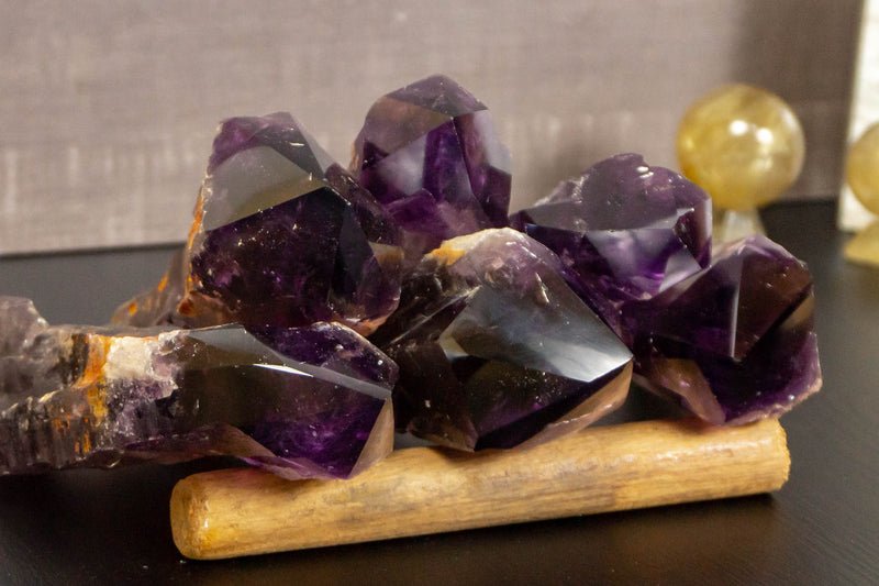 Wholesale Set of 6 Large AAA Bahia Dragon Tooth Amethyst i_did