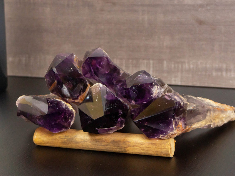 Wholesale Set of 6 Large AAA Bahia Dragon Tooth Amethyst i_did