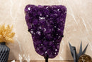 Amethyst Geode Cluster, Aaa Dark Purple Grape Jelly Amethyst collective