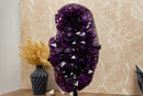 Amethyst Geode Cluster, Aaa Dark Purple Grape Jelly Amethyst collective