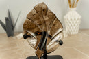 Hand Carved Crystal Leaf of Natural Smoky Quartz, Aaa Quality collective