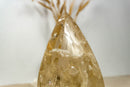 Genuine Citrine Flame Gernerator, Natural Golden Orange Citrine collective