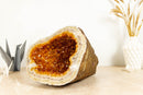 Citrine Geode Cave with Polished Border, Large collective