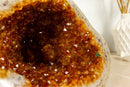 Citrine Geode Cave with Polished Border, Large collective