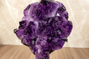 Amethyst Cluster with Cristobalite Inclusions. Museum Quality collective
