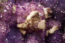 Rare Agate Amethyst Geode Cathedral with Calcite Stalactite and Galaxy Amethyst collective