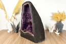 Rare Agate Amethyst Geode Cathedral with Calcite Stalactite and Galaxy Amethyst collective
