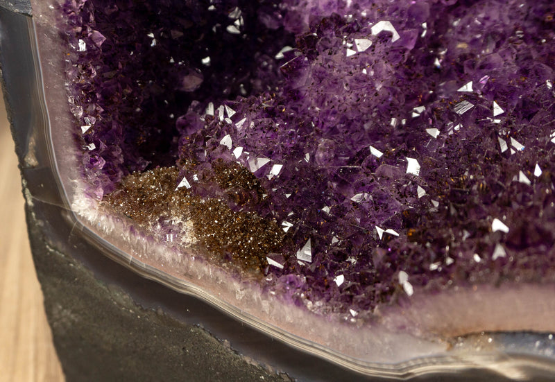 Rare Agate Amethyst Geode Cathedral with Calcite Stalactite and Galaxy Amethyst collective