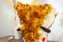 Deep Orange Citrine Cluster on Display with Large Citrine Crystal Druzy collective