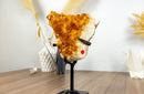 Deep Orange Citrine Cluster on Display with Large Citrine Crystal Druzy collective