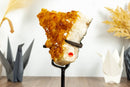 Deep Orange Citrine Cluster on Display with Large Citrine Crystal Druzy collective