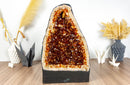 Citrine Cathedral with Deep Orange Citrine Points collective