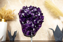 Natural Deep Purple Amethyst Cluster with Large Grape Jelly Amethyst Druzy on Stand, 5.8 Kg - 12.8 lb