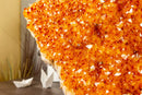 Large Orange Citrine Crystal Cluster on Stand with Citrine Flower Rosette, Natural, Raw 4.8 Kg - 10.6 lb - E2D Crystals & Minerals
