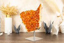Large Orange Citrine Crystal Cluster on Stand with Citrine Flower Rosette, Natural, Raw 4.8 Kg - 10.6 lb - E2D Crystals & Minerals