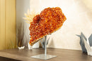 Large Natural Citrine Flower Cluster on Stand with Orange Citrine Crystal Stalactite - 6.5 Kg - 14.3 lb - E2D Crystals & Minerals