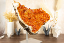 Rare Large Orange Citrine Cluster with Rosette Flowers (Stalactite) on Stand - 15 Kg - 34 lb - E2D Crystals & Minerals