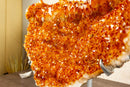 Rare Large Orange Citrine Cluster with Rosette Flowers (Stalactite) on Stand - 15 Kg - 34 lb - E2D Crystals & Minerals