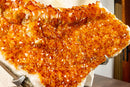 Rare Large Orange Citrine Cluster with Rosette Flowers (Stalactite) on Stand - 15 Kg - 34 lb - E2D Crystals & Minerals