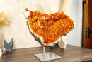 Rare Large Orange Citrine Cluster with Rosette Flowers (Stalactite) on Stand - 15 Kg - 34 lb - E2D Crystals & Minerals