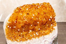 Deep Yellow Citrine Rosette Cluster with medium Size Citrine Druzy, Natural and Ethical 4.2 Kg - 9.1 lb - E2D Crystals & Minerals