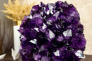 Natural Deep Purple Amethyst Cluster with Large Grape Jelly Amethyst Druzy on Stand, 5.8 Kg - 12.8 lb