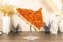 Large Orange Citrine Crystal Cluster on Stand with Citrine Flower Rosette, Natural, Raw 4.8 Kg - 10.6 lb - E2D Crystals & Minerals