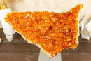 Large Orange Citrine Crystal Cluster on Stand with Citrine Flower Rosette, Natural, Raw 4.8 Kg - 10.6 lb - E2D Crystals & Minerals